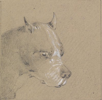 Huvud och skuldror av en boxerhund, högerprofil av Henry Thomas Alken