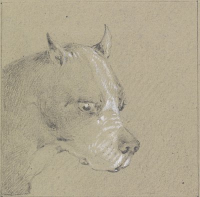 Huvud och axlar av en boxerhund (grafit förhöjd med vitt på papper) av Henry Thomas Alken