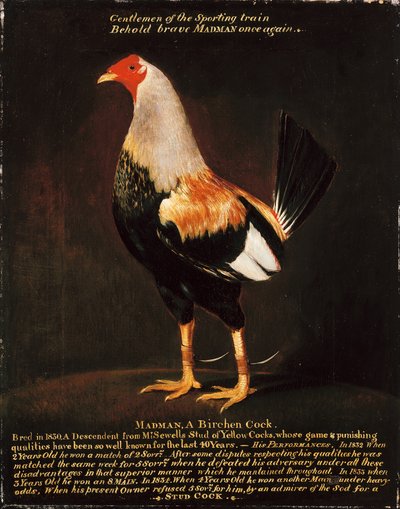 Madman, a Birchen Cock (olja på duk) av Henry Thomas Alken