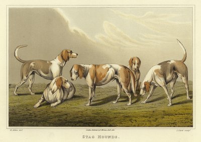 Stag Hounds (chromolitho) av Henry Thomas Alken