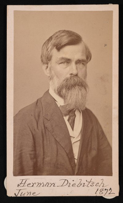 Porträtt av Herman Henry Diebitsch 1818-1883, 1871. av Henry Ulke