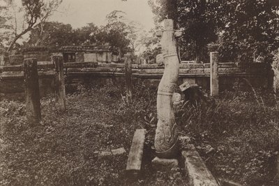 Ceylons ruinerade städer: Curious Rounded Column and Ruins (s/v foto) av Henry W. Cave