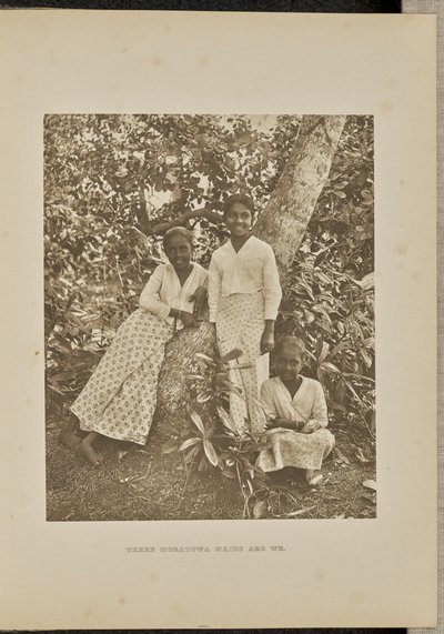 Tre Moratowa Maids är vi av Henry W. Cave