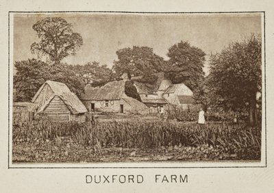 Duxford Farm av Henry W. Taunt