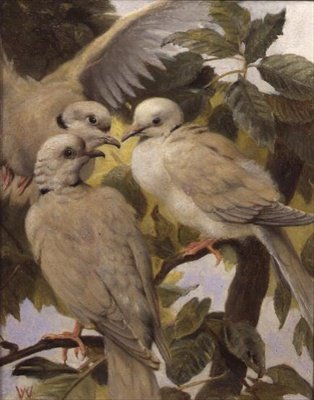 Tre ringade duvor av Henry Weekes