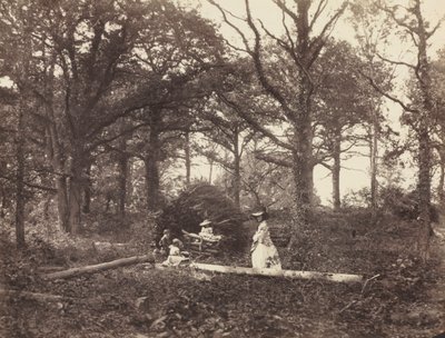 Landskap av Henry White