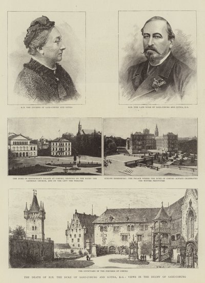 Döden av HH hertigen av Saxe-Coburg och Gotha, KG, Utsikter i hertigdömet Saxe-Coburg av Henry William Brewer