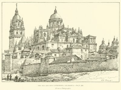 Gamla och nya katedraler, Salamanca (gravyr) av Henry William Brewer