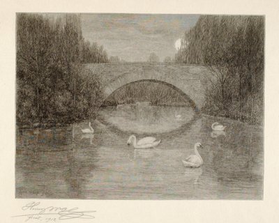 Kväll, Svansjön, Central Park, New York av Henry Wolf