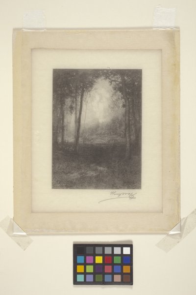 In The Adirondacks (bläck) av Henry Wolf