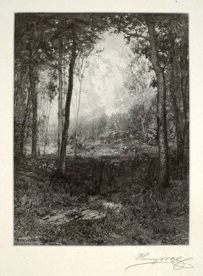 I Adirondacks av Henry Wolf
