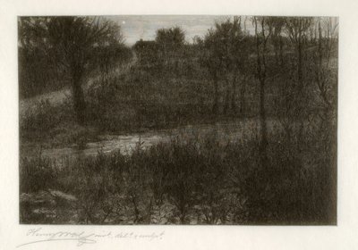 Aftonstjärnan (motivet hittades i Catskills) av Henry Wolf