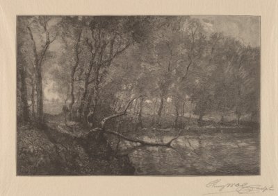 Bruksdammen av Henry Wolf
