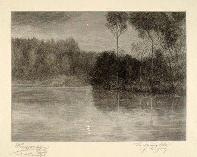 Morgonstjärnan av Henry Wolf