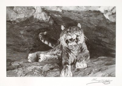 Tiger av Henry Wolf