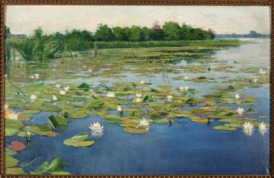 Näckrosor av Henryk Weyssenhoff