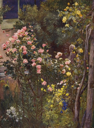 I en rosenträdgård, Catherine Mermet och Marechal Niel hemma (färglitografi) av Herbert Arnould Olivier
