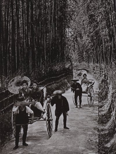 A Bamboo Avenue i Kyoto (s/v foto) av Herbert Ponting