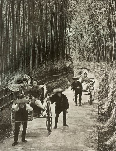 A Bamboo Avenue i Kyoto, 1910. av Herbert Ponting