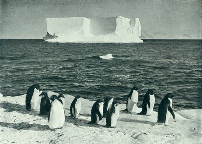 A Berg Drifting in McMurdo Sound, c19101913, 1913. av Herbert Ponting