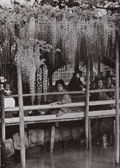 En Wistaria berså vid Kameido (s/v foto) av Herbert Ponting