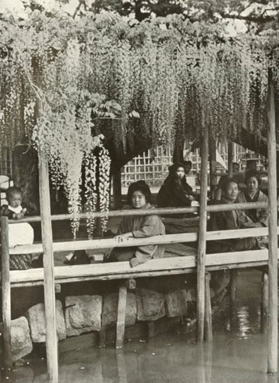 A Wisteria Arbor vid Kameido, 1910. av Herbert Ponting