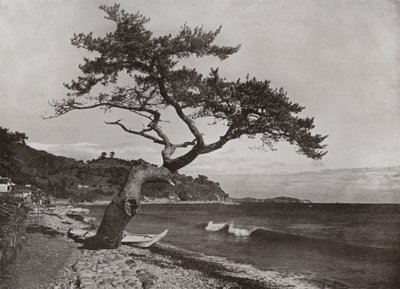 Atami (s/v foto) av Herbert Ponting