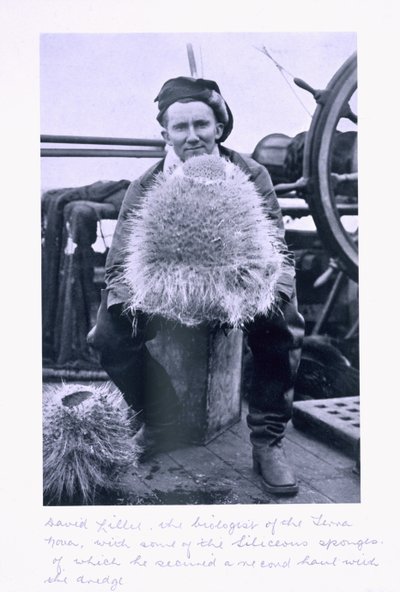 David Lille, biolog från "Terra Nova" med några av de seliska svamparna. från "Scott