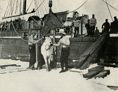 Landstigning av ponnyerna, c19101913, 1913 av Herbert Ponting