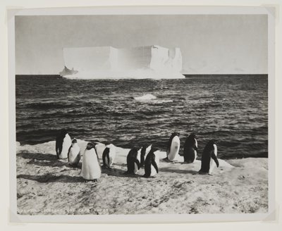 Drifting Iceberg utanför Cape Royds (bromidtryck) av Herbert Ponting