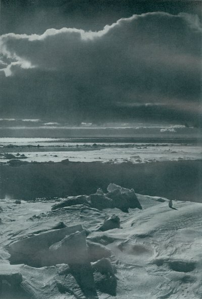Aftonscen i flocken, c19101913, 1913 av Herbert Ponting