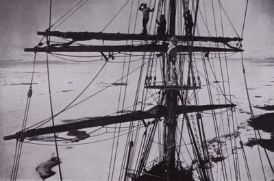 "I tjugo dagar höll flocken dem" (s/v foto) av Herbert Ponting