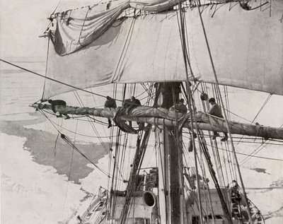 Rullsegel i flocken, c19101913, 1913 av Herbert Ponting