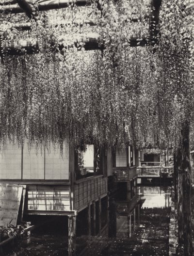 Japan på 1920-talet: Tokyo, Kameido (s/v foto) av Herbert Ponting