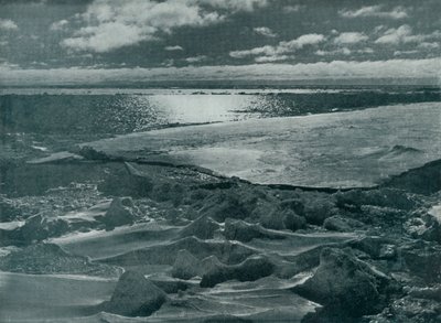 Moonlight in the Pack, c19101913, 1913 av Herbert Ponting