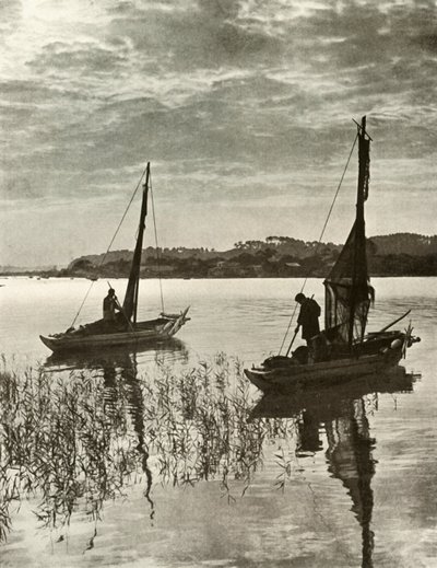 På Tokyobukten, 1910. av Herbert Ponting