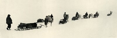 Ponnyer i mars 1911, 1913 av Herbert Ponting