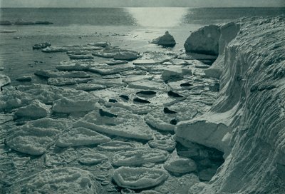 Sälar solar sig på nybildad pannkaksis utanför Cape Evans, c19101913, 1913 av Herbert Ponting