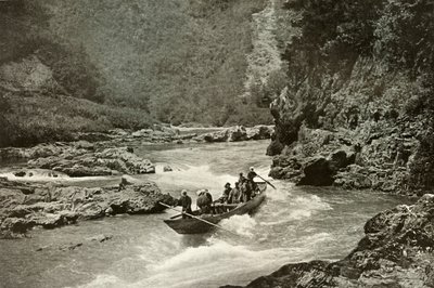 Att skjuta forsarna i Katsura-Gawa, 1910. av Herbert Ponting