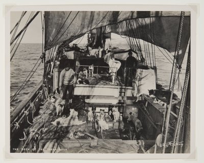 The Deck of the Terra Nova (bromidtryck) av Herbert Ponting