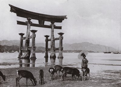 The Old Torii at Miyajima (s/v foto) av Herbert Ponting