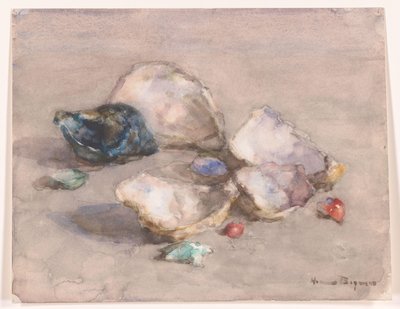 Skal på stranden av Herman Bogman (signed by artist)