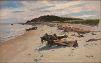 Cape Cod, Strand av Herman Hartwich