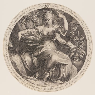 Flora av Herman Jansz. Muller