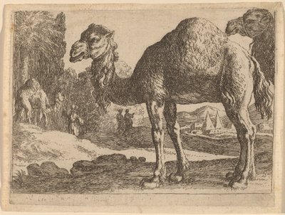 Kameler av Herman van Swanevelt