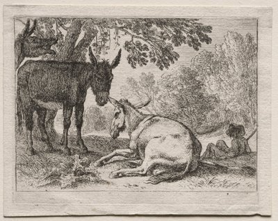 Åsnor. av Herman van Swanevelt