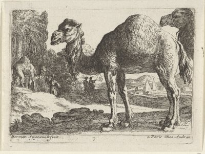kameler Landskap med djur (serietitel) av Herman van Swanevelt