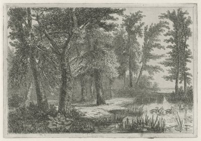 Skogsutsikt med ett kärr med ankor av Hermanus Jan Hendrik van Rijkelijkhuysen