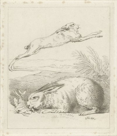 hare och kanin av Hermanus Numan