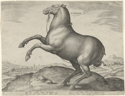 Häst från Scythia Cimber (titel på objekt) Hästaraser från Royal Stables of Don Juan of Austria (serietitel) Equile Ioannis Austriaci Caroli (serietitel) av Hieronymus Wierix